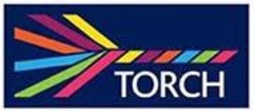torch logo