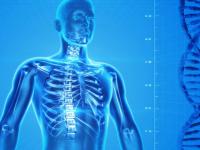 Human enhancement listing image Human body scan on blue background