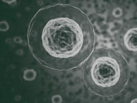 Hot topics: Cloning and stem cell research taking samples from test tubes filled with blood